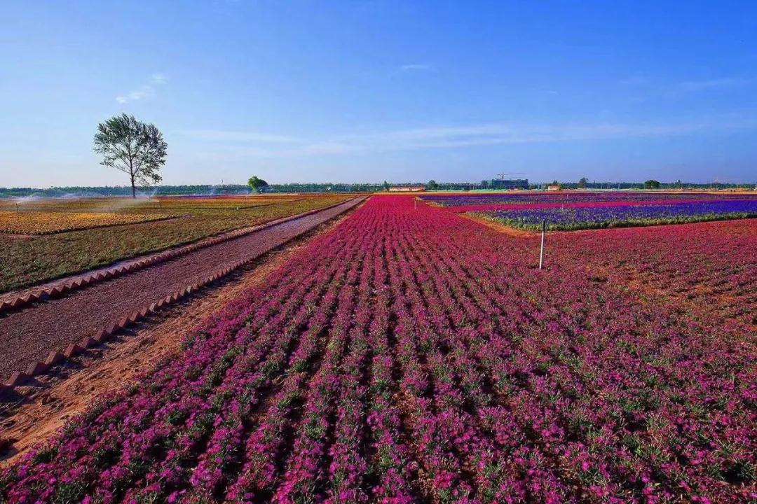 微信圖片_20210623084115.jpg 微信圖片_20210623084115.jpg